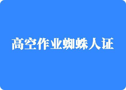 鸡插进蜜桃视频高空作业蜘蛛人证